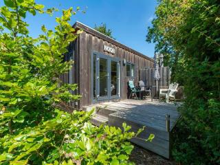 Chalet in Texel near Beach and Forest - 4