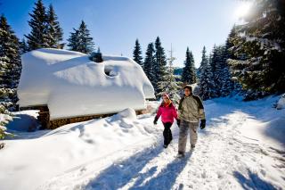 Biohof Seidl - Bad Kleinkirchheim - 6