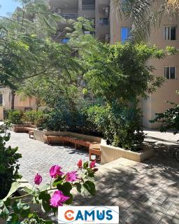 CAMUS 354, Princess Resort - 2