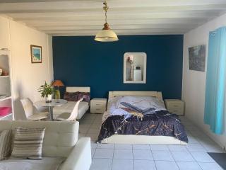 GITE 40 m2 - à Coutras STUDIO avec kitchenette , espace salon, TV, 2 à 3 personnes PISCINE WIFI CLIM près Saint EMILION - 7