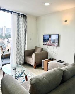 2 Bedroom Furnished Apartment on Boulevard Suites Kampala Road - 0