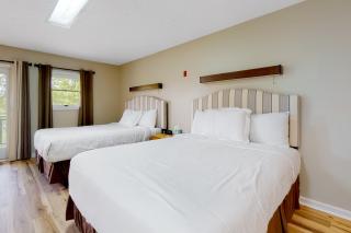 Charming Studio Sleeps 4 Close to Douglas Lake - 0