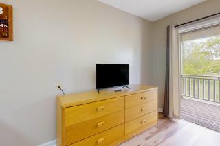 Charming Studio Sleeps 4 Close to Douglas Lake - 3