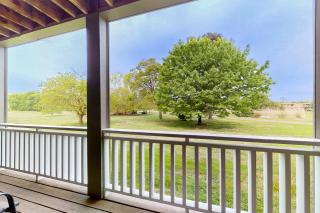 Near Douglas Lake 1st Floor Studio Dog Friendly - 9