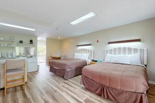 Relaxing Studio Sleeps 4 Near Golf & Douglas Lake - 5