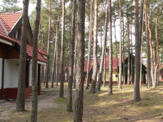 Holiday homes with a terrace, close to the beach - 4