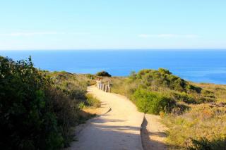 Bells Beach Pro Base - Short Walk -Shops & Beach - 7