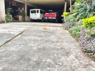 Jenny's transient house - 5