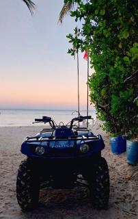 LOS CORALES BEACH - ONE BEDROOM CONDOS pool 1 - 1