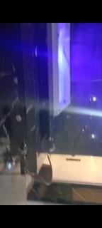 Casa Spar para temporada MOTOGP - 0