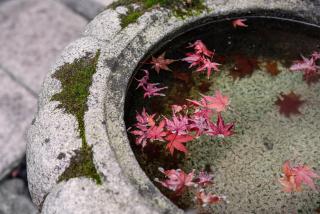 Guesthouse-Hana・Tale Villa - 1