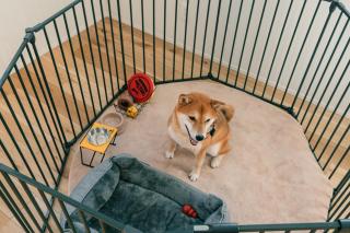 藤乃宿 Villa Moere モエレ沼公園すぐ 愛犬と一緒に泊まれる新築1棟貸し - 2