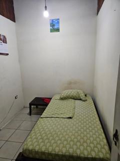 Paraiso Tropical - 7