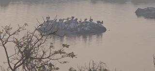 Villa De Aqua Elite - Muttukadu Lake ECR - 1