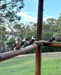 The Getaway - The River Murray Retreat - 4