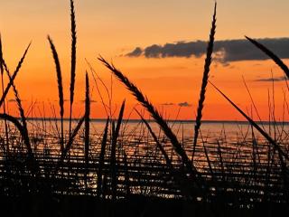 Moin Hotel Cuxhaven - Cuxhaven - 4