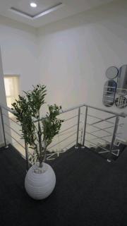 Crowned Comfort 2BR Terrace Duplex Pool & Gym - 5