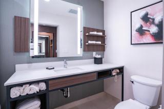 Hilton Garden Inn Hoover Birmingham - 7