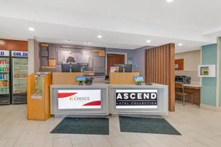Keene Elm City Hotel, an Ascend Collection Hotel - 8
