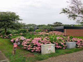 Comfortable holiday home in Noordwijkerhout near the sea - 2