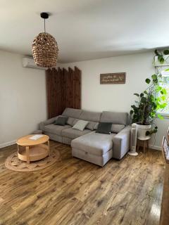 Cocon landais avec jaccuzi - 1