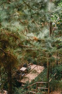 U Lesa Retreat - Nhà Bên Rừng - 7