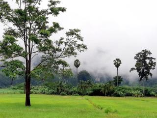 เจอาร์รีสอร์ท ที่พักบ้านมุงเนินมะปราง - 5