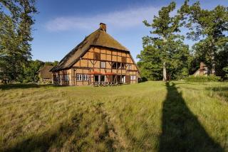 Haus im Wald - 8