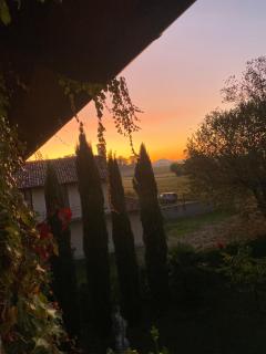 La Casa del Sole - Tenuta dei conti Romano - 3