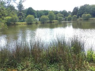 M.Home ACCES P006 2chbr/5pers - 4