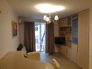 Cozy apartments in the center of Odessa - 0