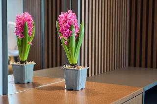 Skyview Luxury Retreat - Valentino Home Xcity Tower - 4