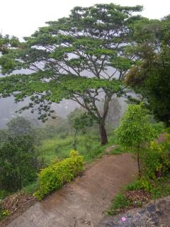 Browns Hill Villa - Ella - 2