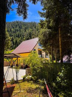 Hidden Forest Cottage - 0