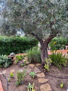 Complejo Delfos del Faz Mojácar - 6