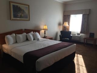 Best Western Thunder Bay Crossroads - 2
