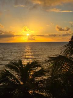Exotic Paradise Guest House - 1