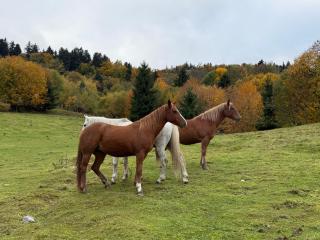 Dom Podgórze 23 - 9