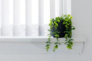 FREE parking, LARGE House for Contractors & Families, Sleeps 6, 15mins to City Centre - 1