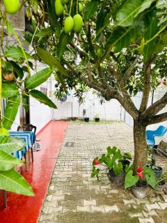 Good Home Mirissa - 1