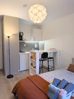 Studette Cozy a Schiltigheim - 6