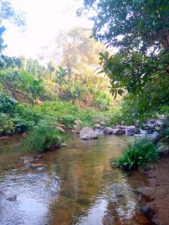 Diyaluma Villa Resort - 9