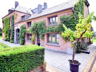 Luxurious castle with hot tub in the Belgian - Jamoigne - 0