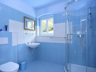 Villa in Bavaria near Ski Trails & Sauna - Lam - 6