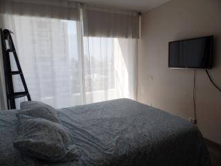 Comfortable apartment steps from Plaza Ñuñoa - 1
