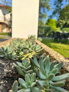 Magnolia Garden House - near Venice - 2