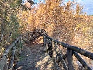 ChicFlat Rural Bañuelos (Exteriores y piscina) - 4