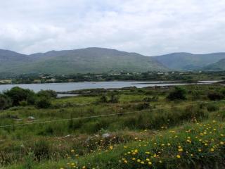 Cosy Cottage in Kenmare, Ireland - 5