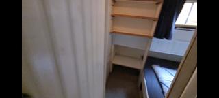 Paradijsvogel Enkhuizen - 1