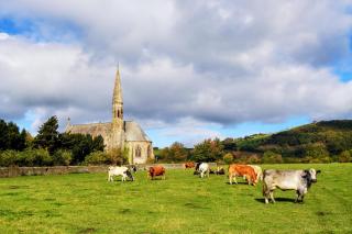 2 Bed in Bassenthwaite oc-ld171 - Bassenthwaite - 3